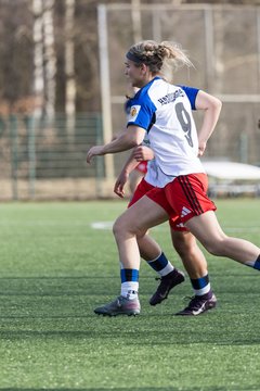 Bild 207 - wBJ Hamburger SV - Hertha BSC : Ergebnis: 2:1